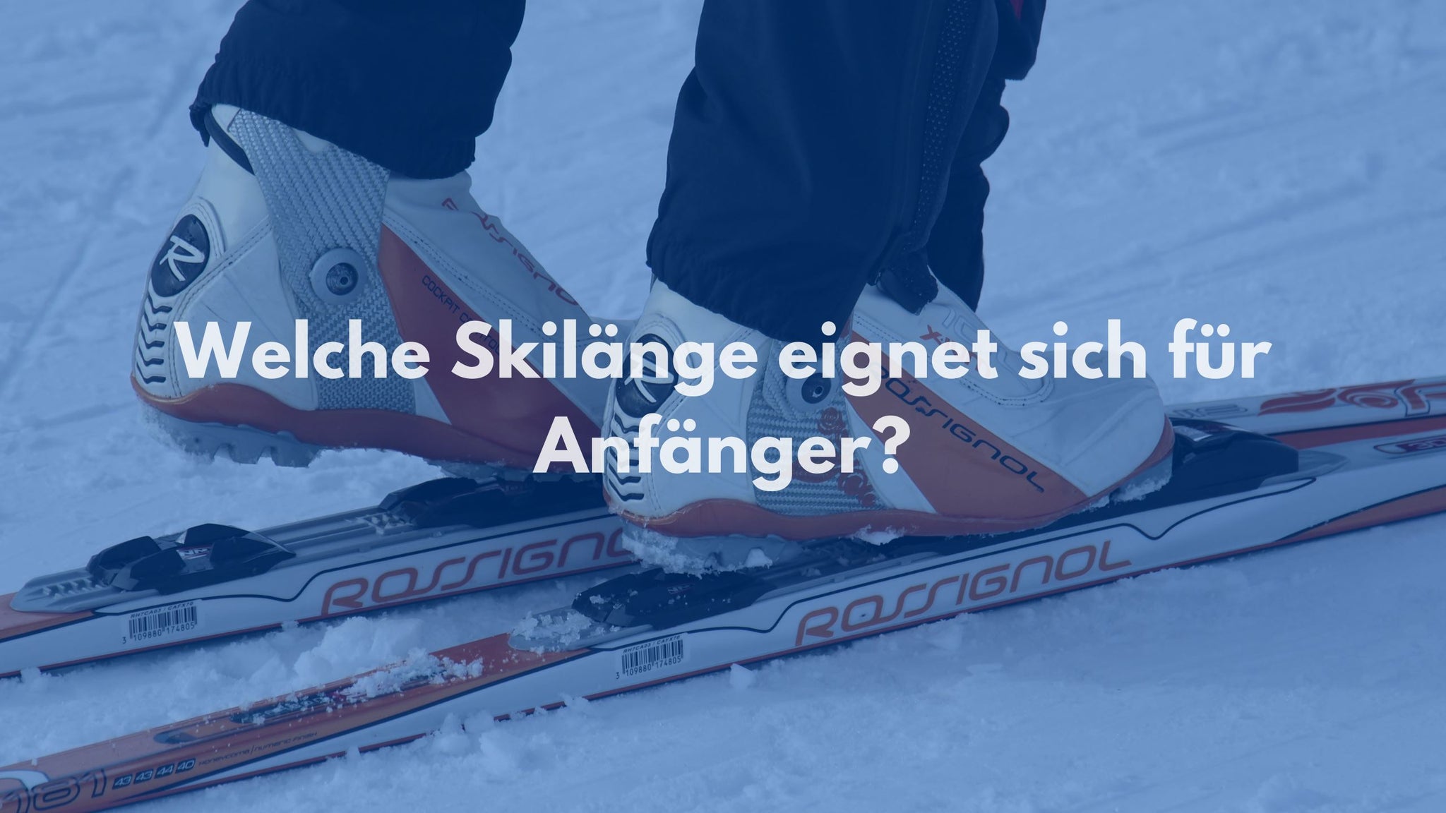 Welche Skilänge eignet sich für Anfänger?